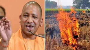 UP: पराली से प्रदूषण पर सीएम योगी चिंतित, जागरुकता फैलाने के दिए सख्त निर्देश