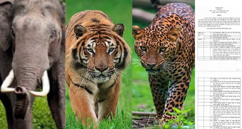 Uttarakhand: Now Rs 6 lakh compensation on death due to wildlife attack, notification issued