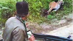 Nainital – Tigress pounces towards gypsy during jungle safari, tourists stunned_ Video