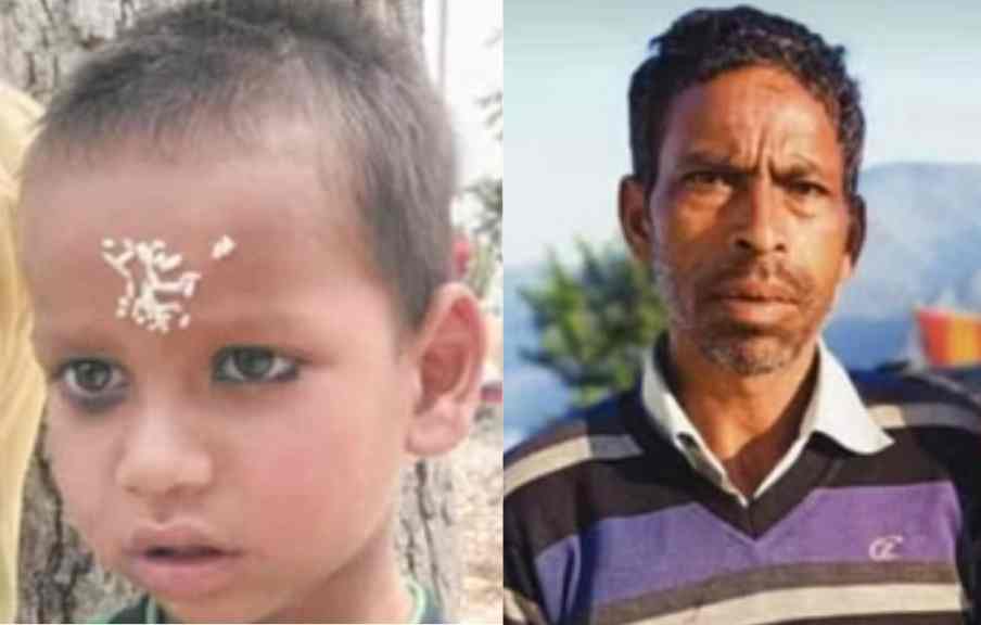 उत्तराखंड : ततैया के झुंड ने पिता-पुत्र की ली जान,शोक में डूबा गांव..